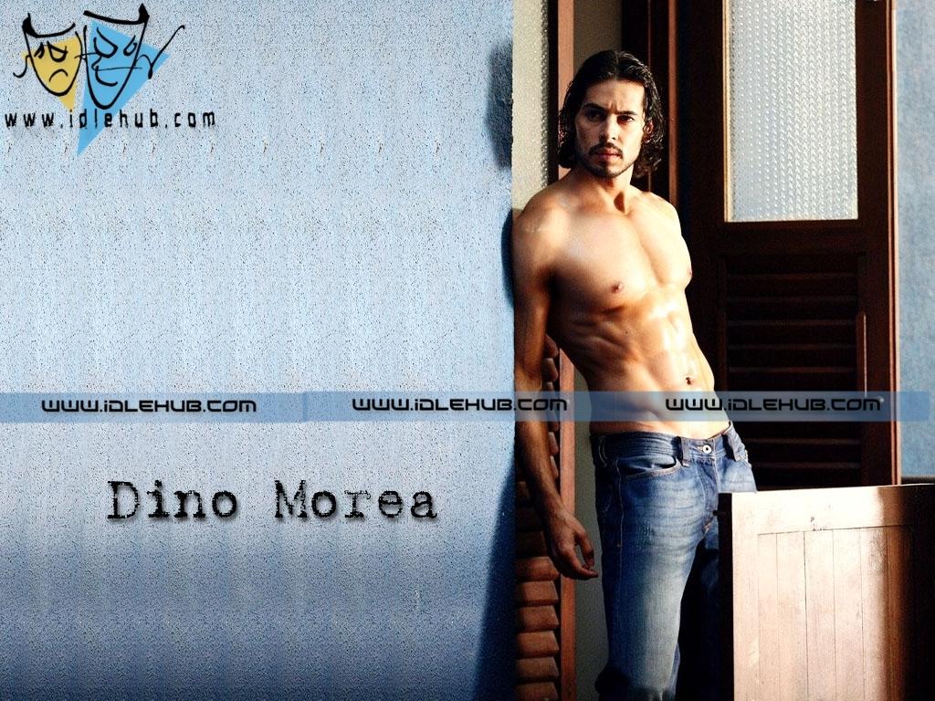 Dino Morea Sizzling Bollywood Actor