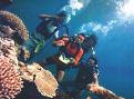 DIVING DI KARIMUNJAWA