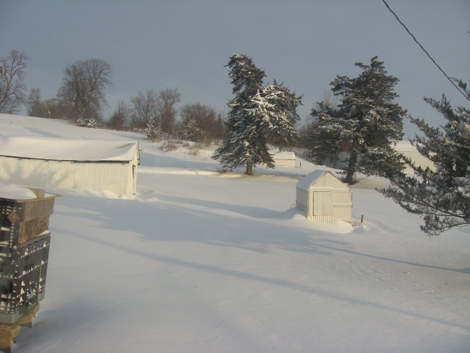 [more+snow.jpg]
