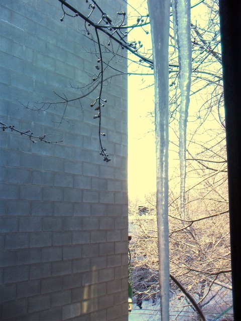 [PIC_0272.JPG]