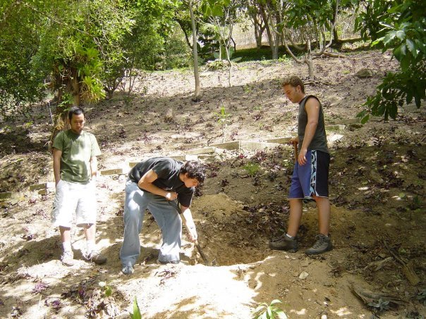 [arbol+25+años+2.jpg]