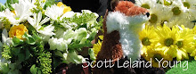 Scott's Blog