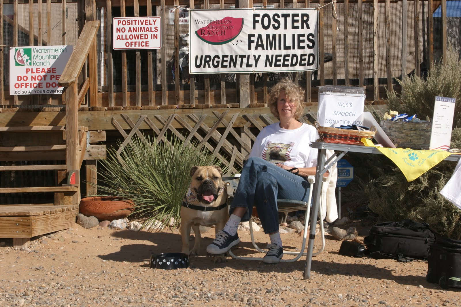 Travelin' Jack's Dog Blog Watermelon Mountain RanchAnimal Shelter ExraOrdinaire!