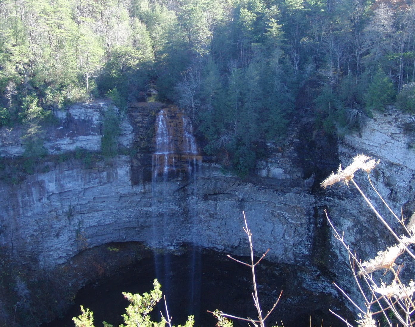 The Days of Johann, an agility dog! Our trip to Fall Creek Falls State