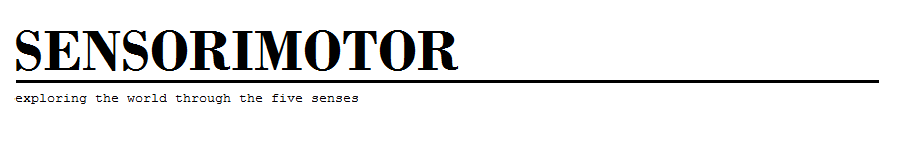 Sensorimotor