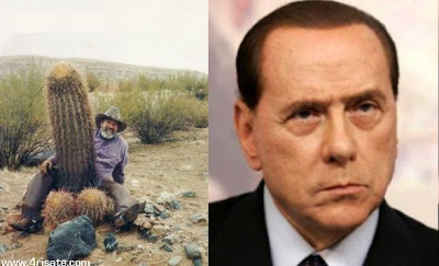 Elpais Berlusconi Photos