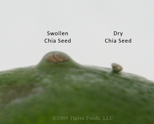 [chia-seed-c.jpg]