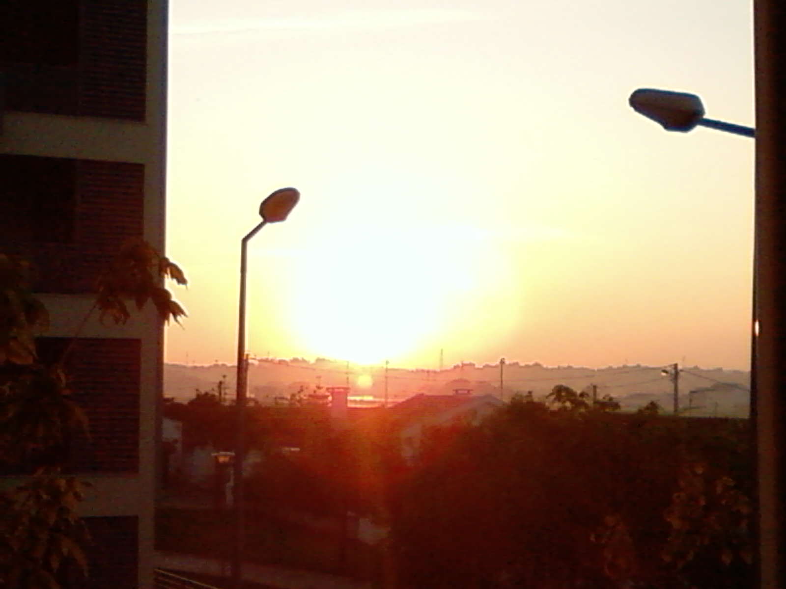 [SP_A0303.jpg]