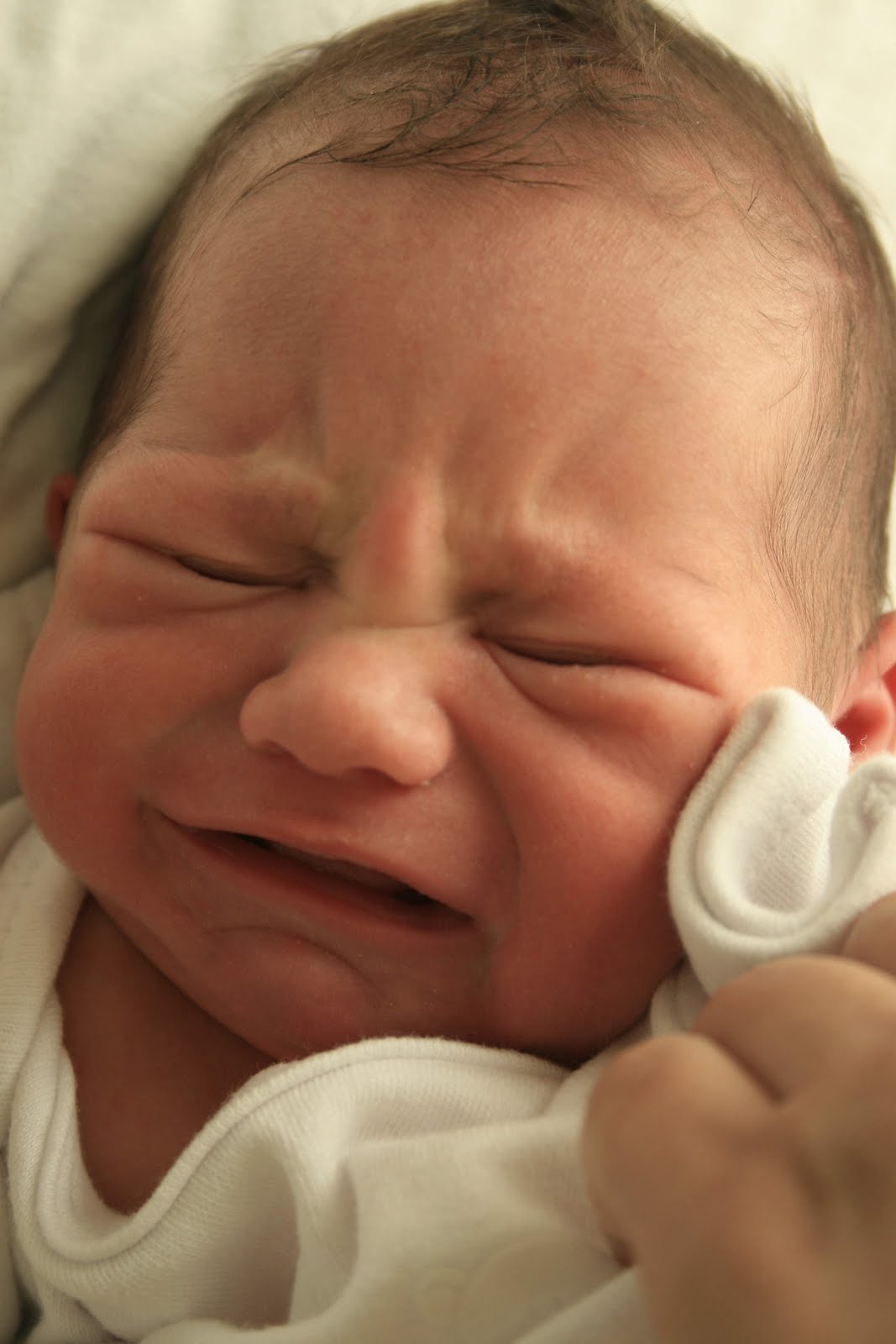 STRESS HORMONES WASH OVER THE BRAIN WHEN A BABY IS LEFT ALONE TO CRY | Early Childhood ...