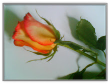 MY LUV