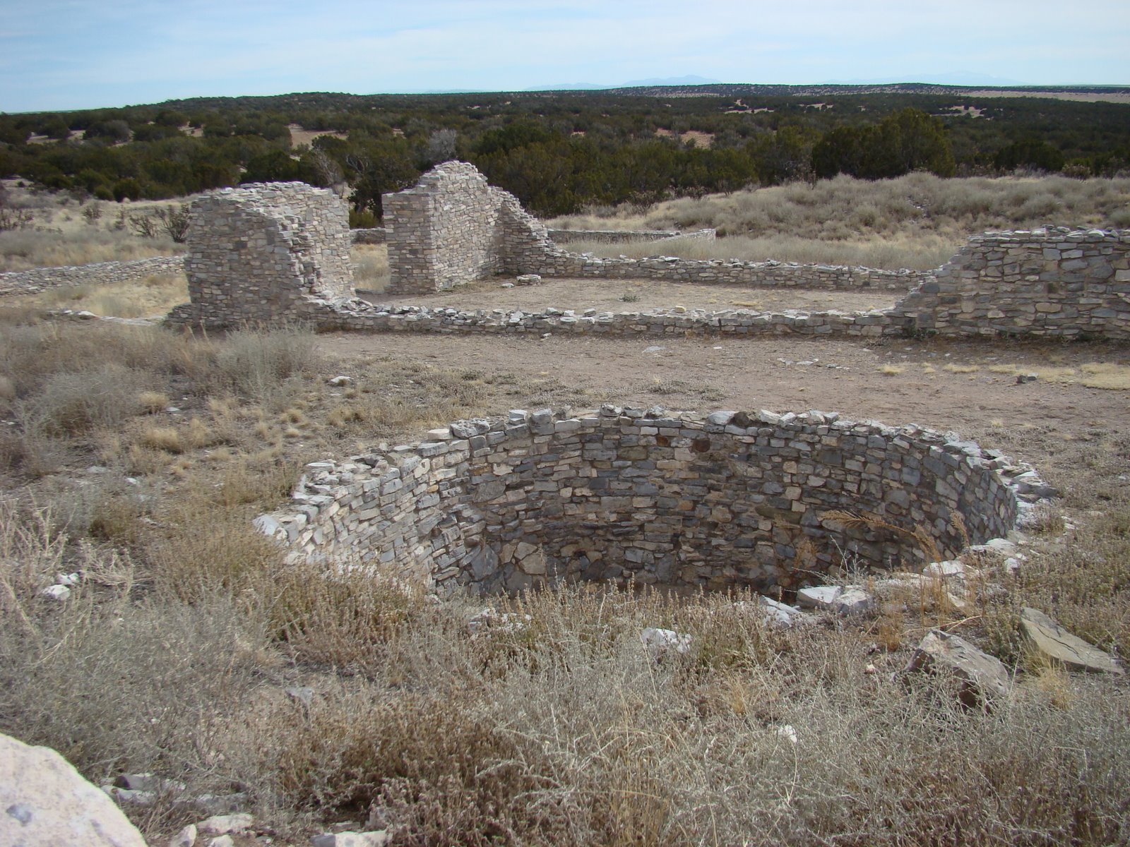 [DSC02660.JPG]