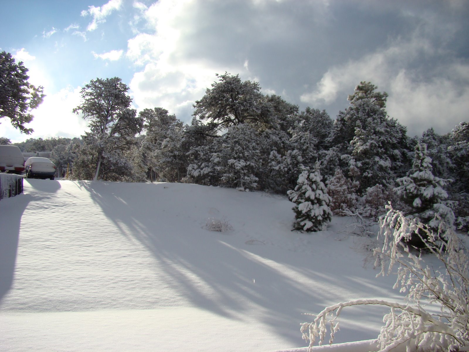 [DSC02766.JPG]