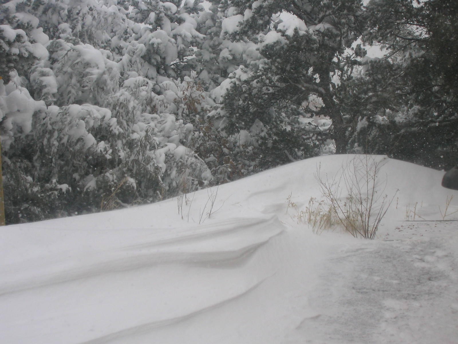 [Sculpted+Drift+II.JPG]