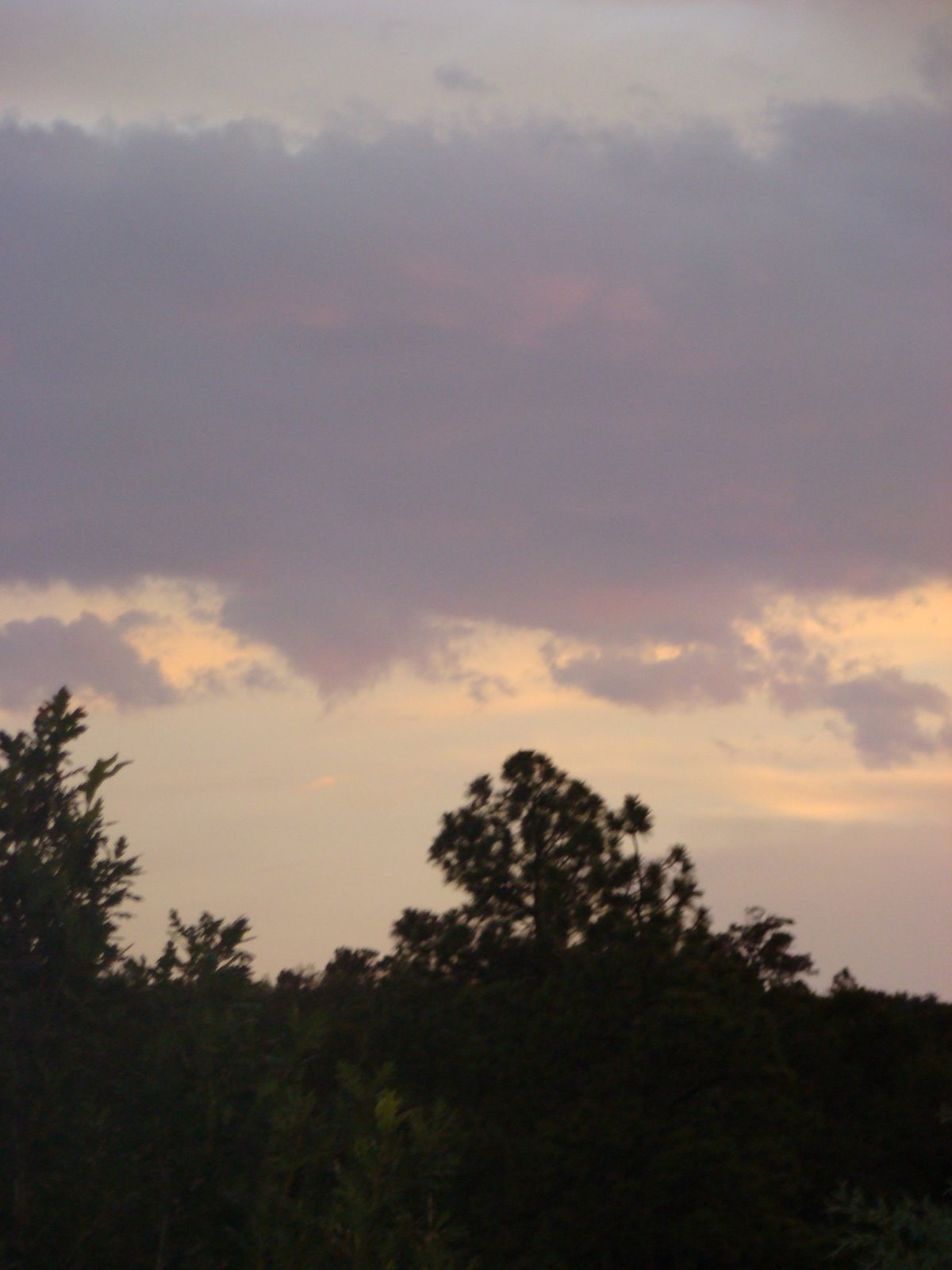 [DSC00044.JPG]