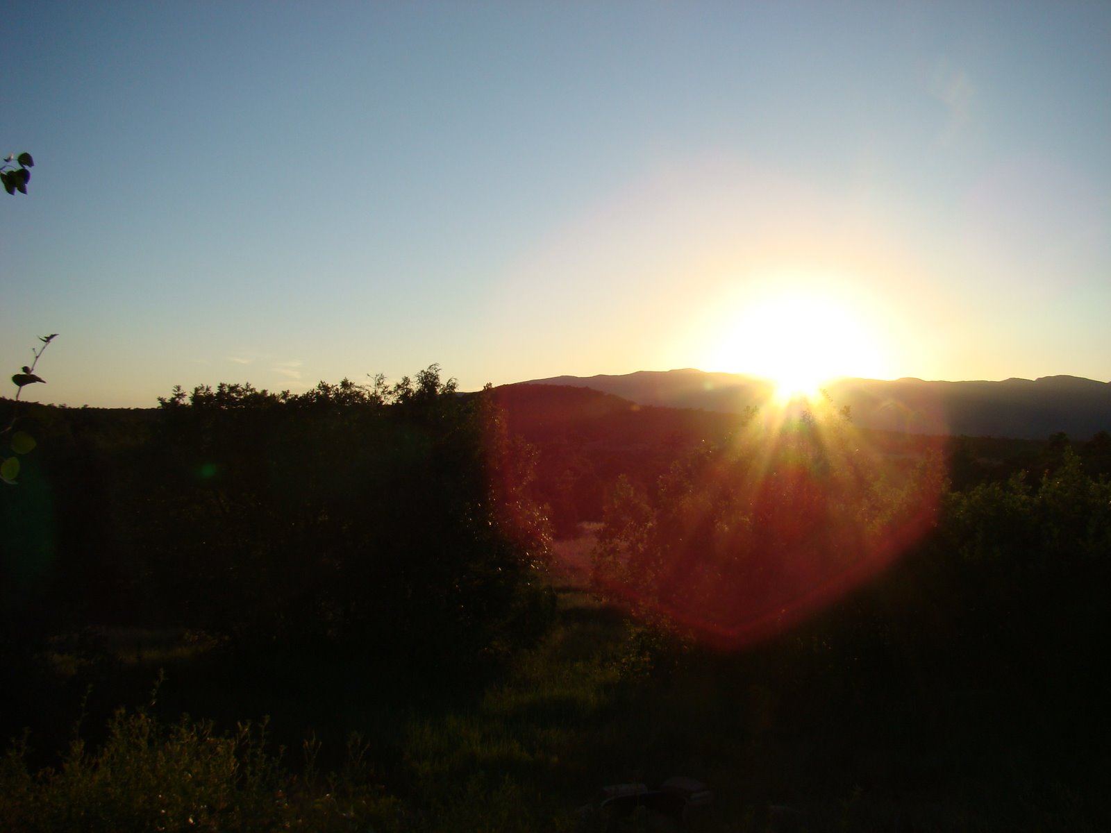 [DSC04069.JPG]