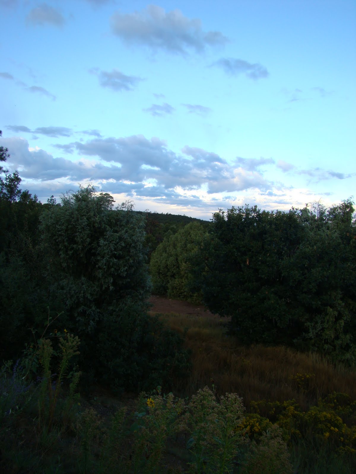[DSC07125.JPG]