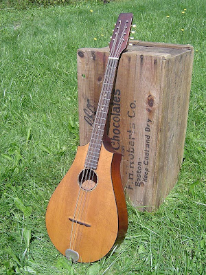 1930s Regal Octofone Octave Mandolin