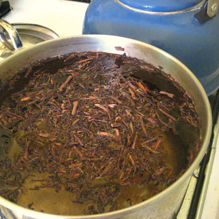 Gayle and Jaime in Kitchen