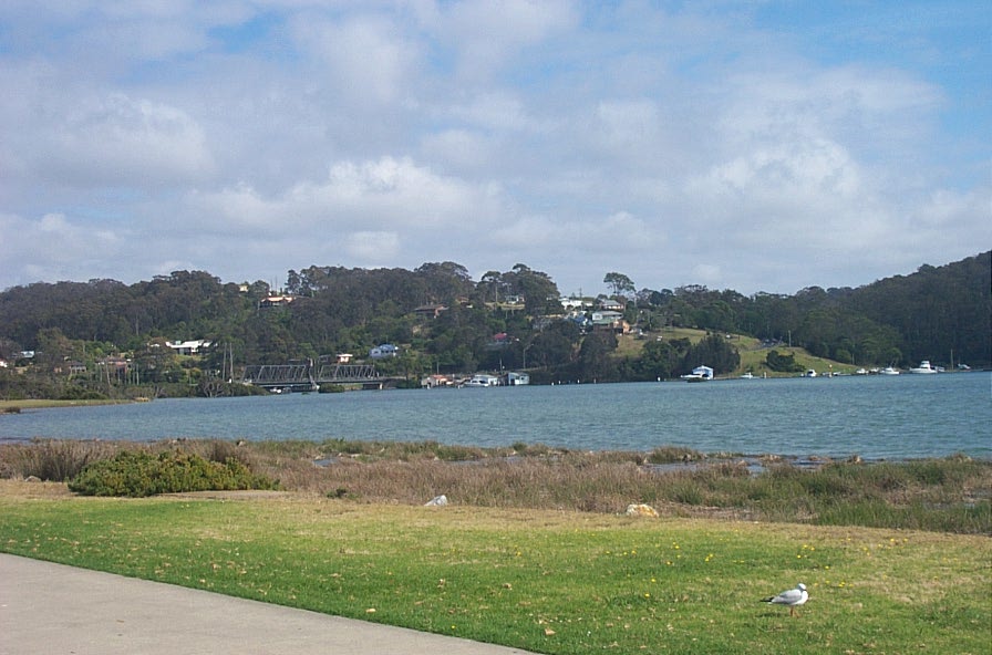[DCP_6264.JPG]