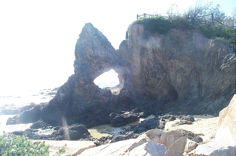 [DCP_6290.JPG]