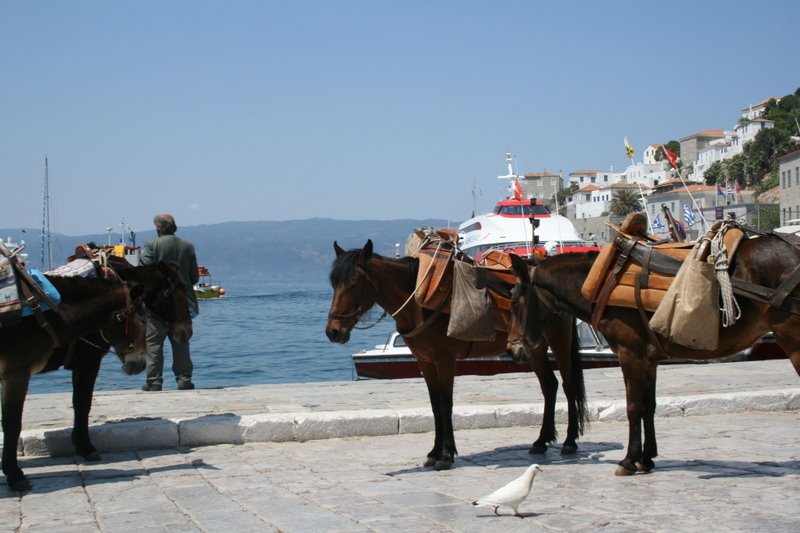 [IMG_7633.jpg]