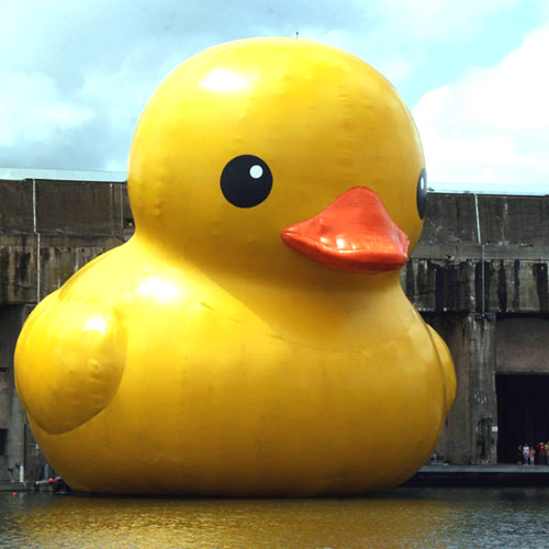 [Giant+Ducky+Picture.jpg]