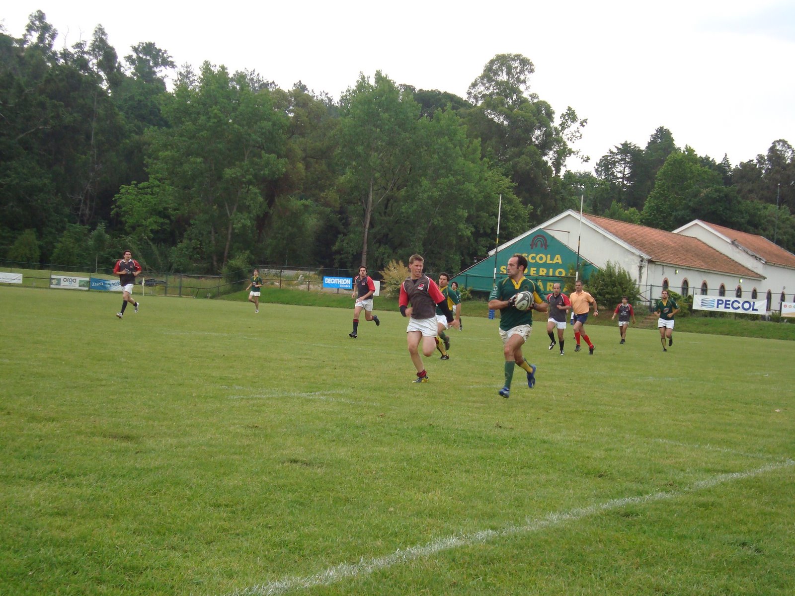 [DSC00501.JPG]