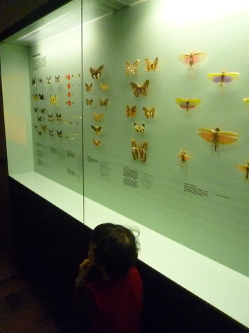 [P1120487.JPG]