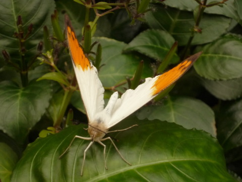 [P1120753.JPG]