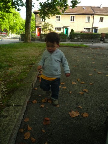 [P1030235.JPG]
