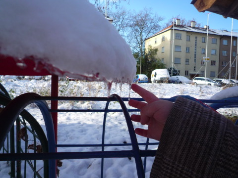 [P1030924.JPG]