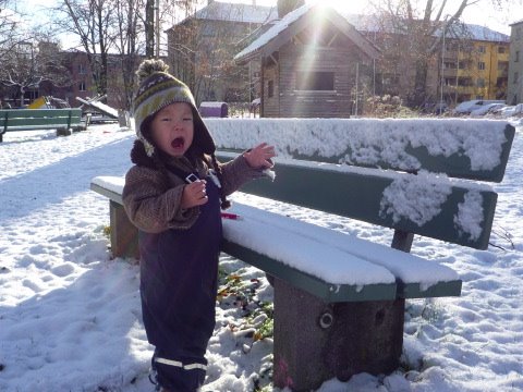 [P1030919.JPG]