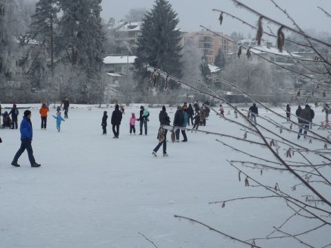 [P1040900.JPG]