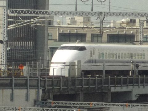 [P1050960.JPG]