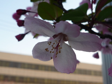 [P1060437.JPG]
