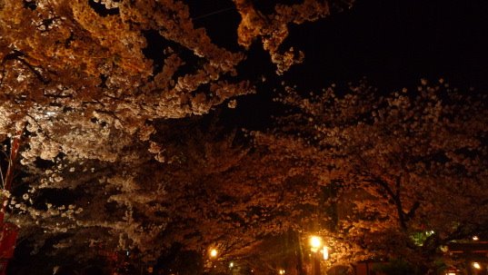 [P1060615.JPG]