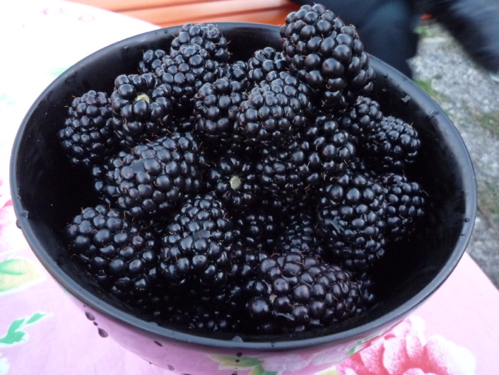 [P1090097.JPG]