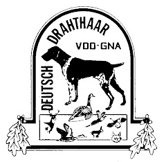 VDD LOGO