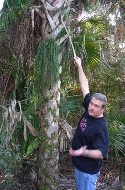 Nature Walk on Erev Tu B'shevat