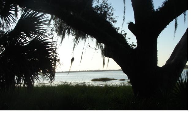 Evening at Myakka State Park