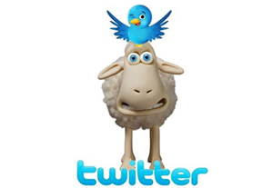 Follow Me On Twitter