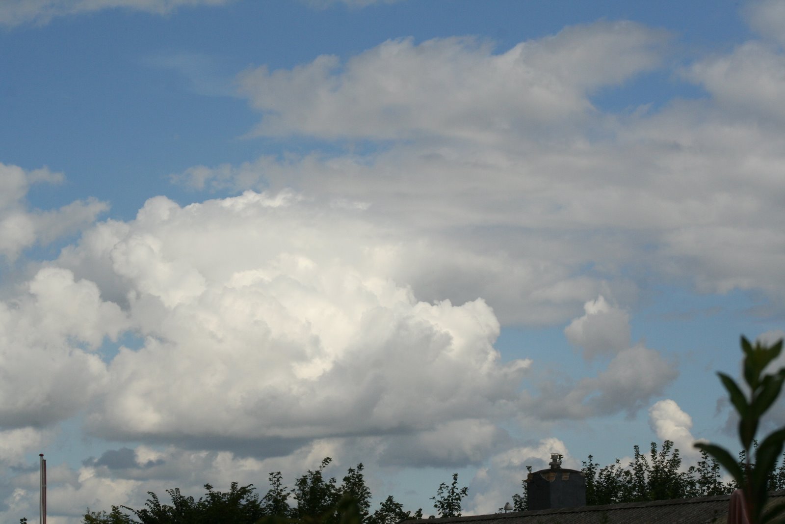 [IMG_7292.JPG]