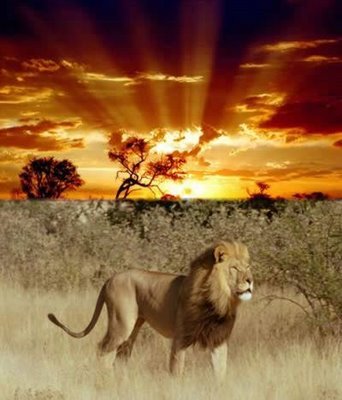 [Amanhecer+Angola.bmp]