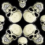 [skullpattern.jpg]