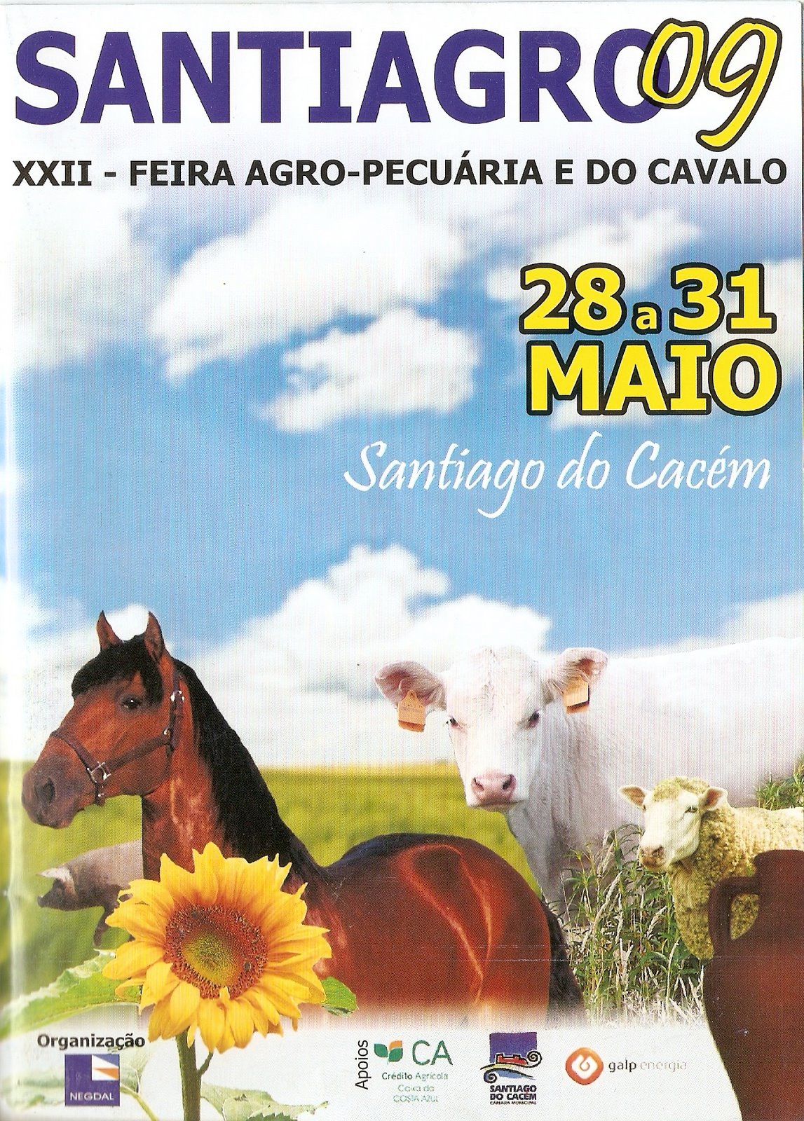 [ProgramaSantiagro.jpg]