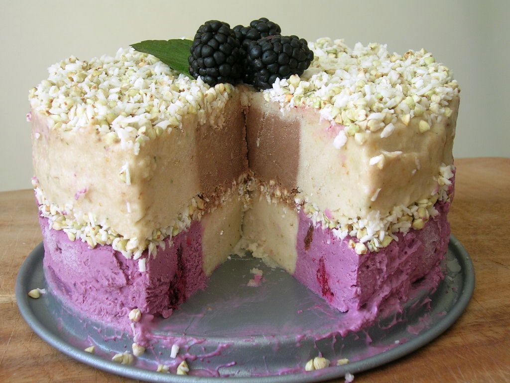 animalfriendly eating the ultimate raw ice cream cake