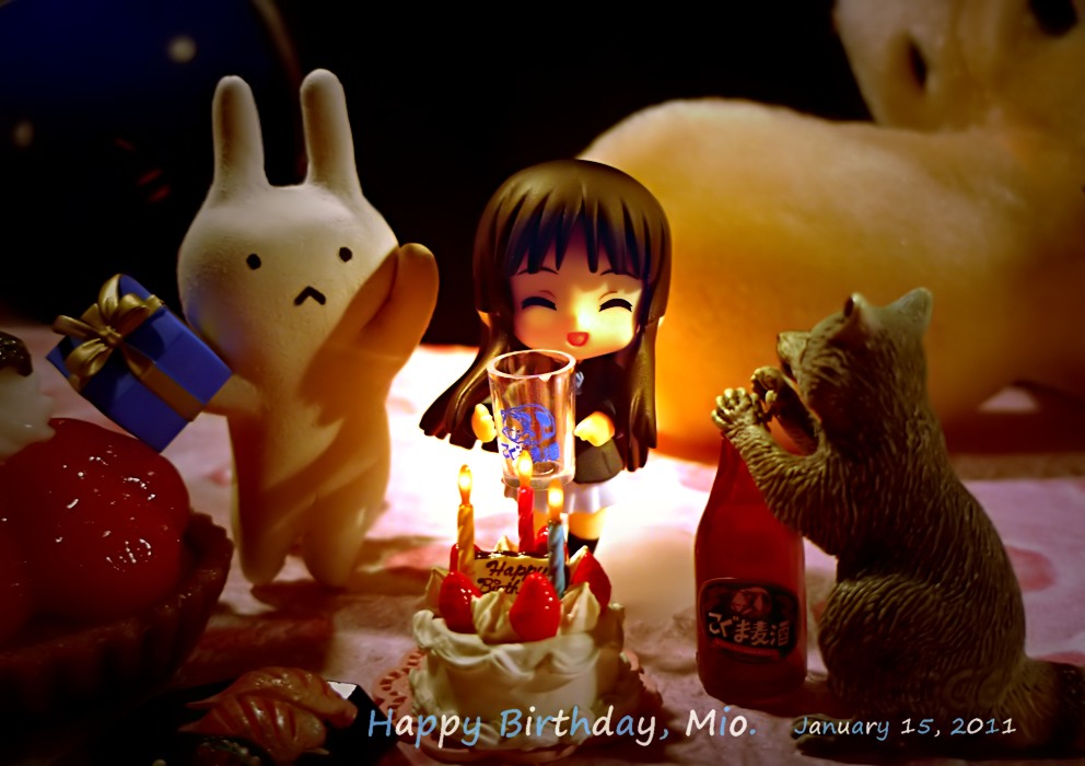 mio-akiyama-birthday-2011-014.jpg