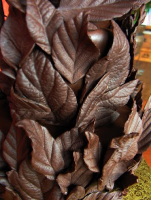 Chocolate-Leaves-Close-Up.jpg