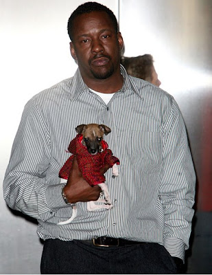 Bobby & Chihuahua