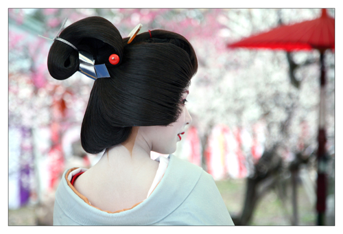 [umeshizu+iriashi.jpg]